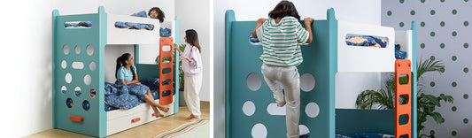 Everything About Bunk Beds D