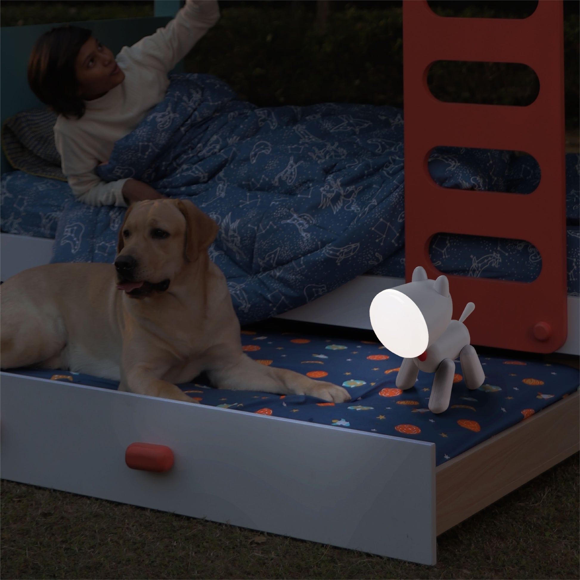 media_gallary Rechargeable Study Table Lamp for kids - woof woof 6
